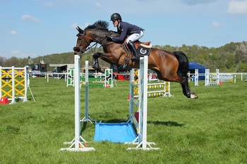 WEE REMINDER - AGRICULTURAL SHOWS 2023 – BRITISH SHOWJUMPING SCOTLAND WEE REMINDER - AGRICULTURAL SHOWS 2023 – BRITISH SHOWJUMPING SCOTLAND